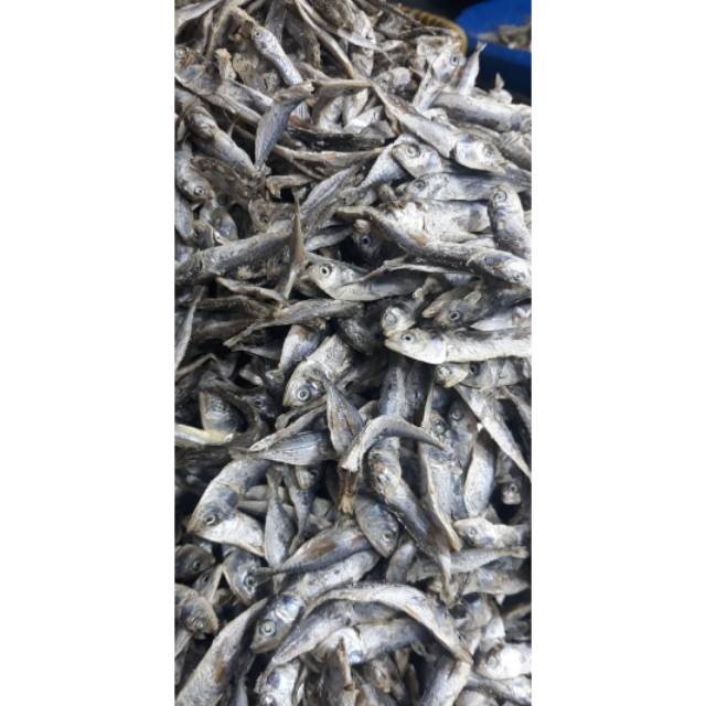 

Ikan gembung rebus 500 g