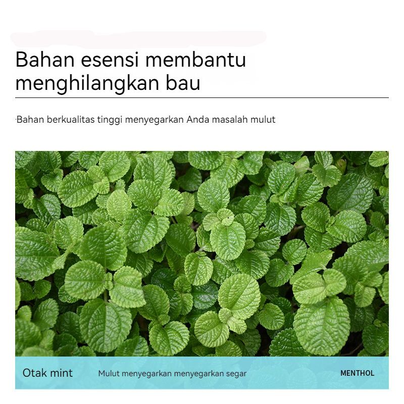 aroma mint penghilang bau mulut mouth spray pengharum mulut parfum mulut semprotan mulut 10ml mulut segar cocok untuk berkencan gunakan untuk perokok