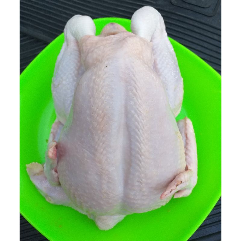 

ayam potong segar 1,1kg