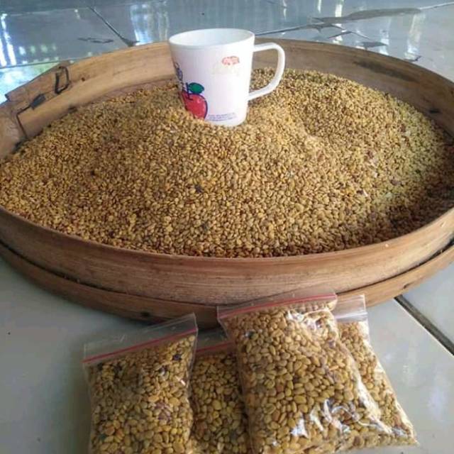 Biji Kawista batu / kerikil isi 200 biji per pcs untuk Bonsai