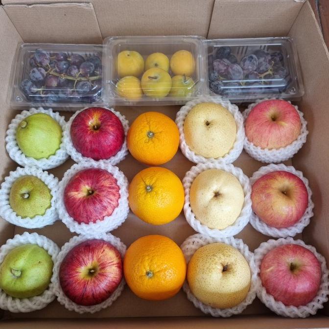 

Parcel Buah Alv Fruits Ekonomis 4