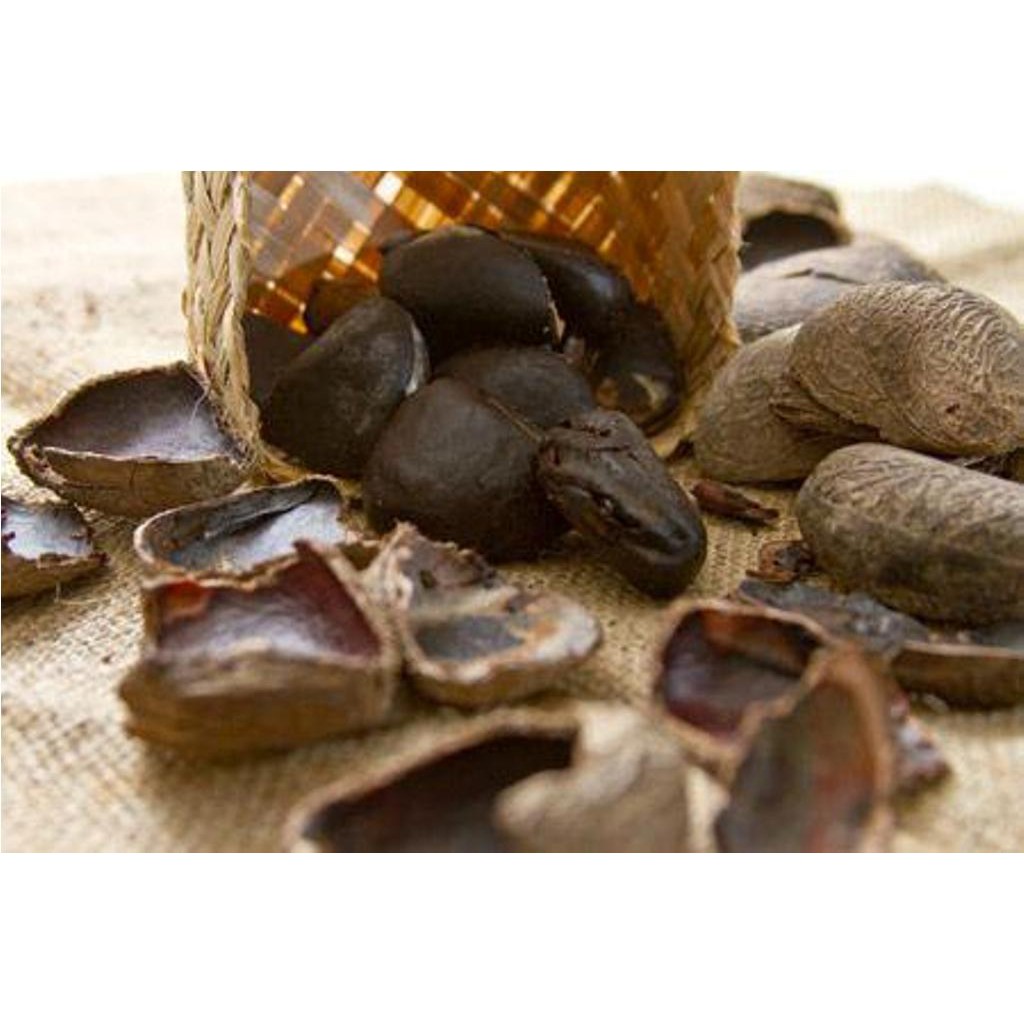 

Biji Kluwek Premium 1kg Kualitas Terbaik