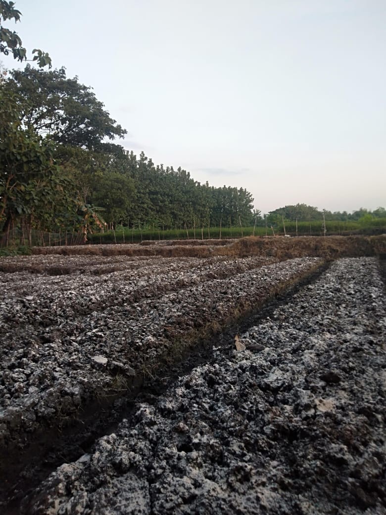 Balvalve Pvc 3/4 Jumbo Igm