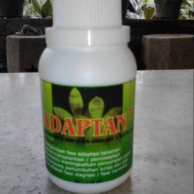 Adaptan atau vitamin B1 untuk Anggrek