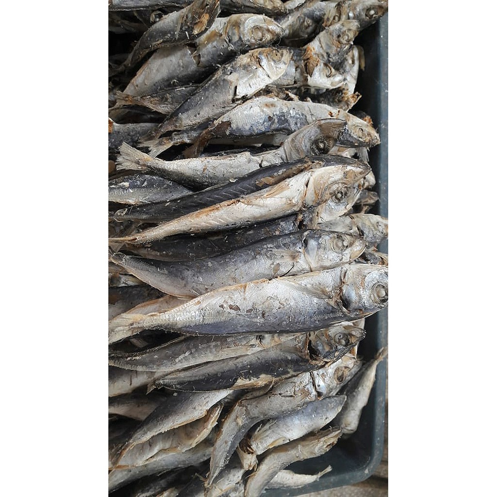 

Ikan Layang rebus / Ikan Cuek