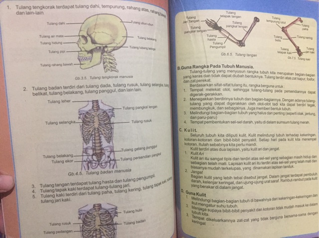 RPAL Rangkuman Pengetahuan Alam Lengkap Untuk SD Kelas 3,4,5 &amp; 6