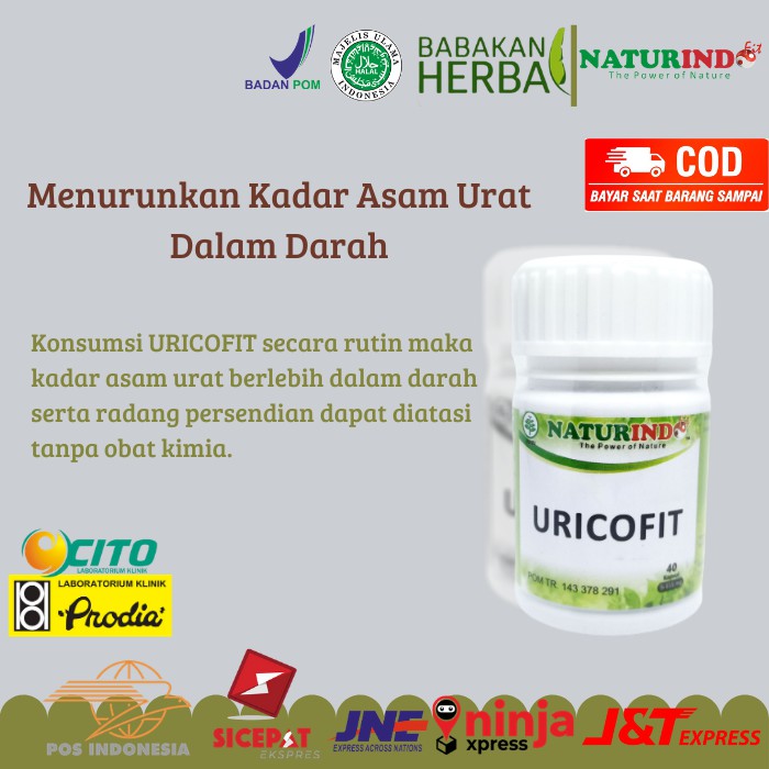 

Naturindo Uricofit Herbal Asam Urat Dan Sendi Obat Asam Urat Ampuh Nyeri Sendi