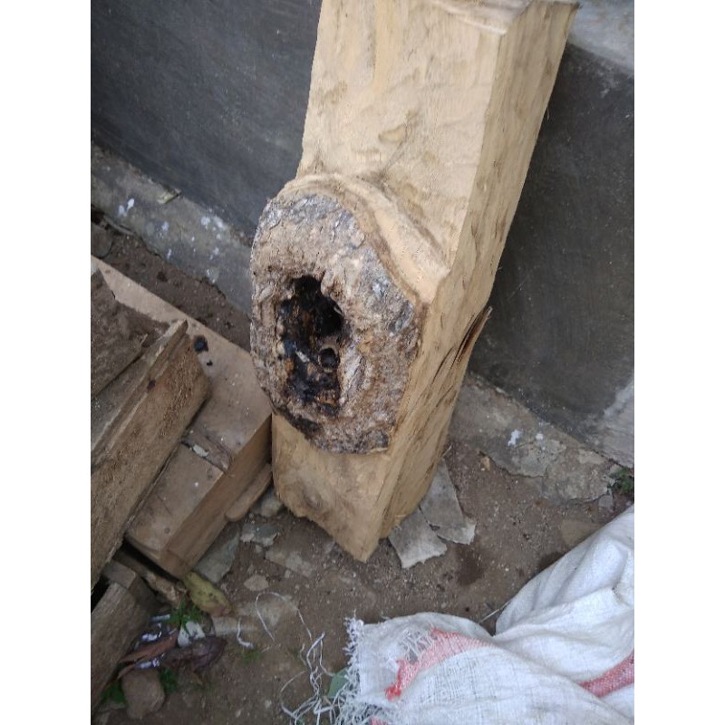 Itama jawa log toping, baca deskripsi dlu.