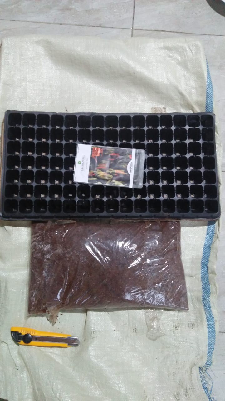 Pot Tray / Tray Semai Tipe 105 Lubang