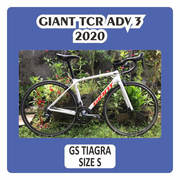 Roadbike Giant TCR Adv 3 2020 Size S Grupset Tiagra 10s Speed Carbon Sepeda Balap Rim brake Fullbike