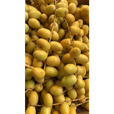 

READY LGSG KIRIM KURMAMUDA BARHEE MANIS (1kg FREE ZURIAT)