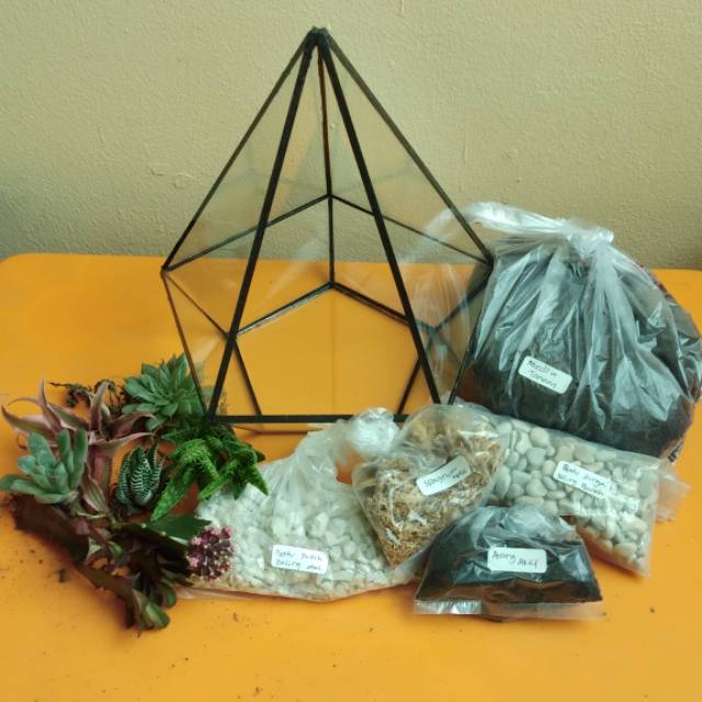 Terrarium kit, terrarium kaktus & sukulen, terrarium, terarium, tanaman hias, kaktus, sukulen