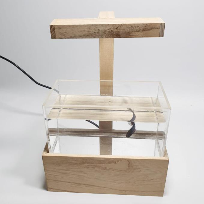 Mini Aquascape / Akuarium Mini Untuk Ikan Cupang