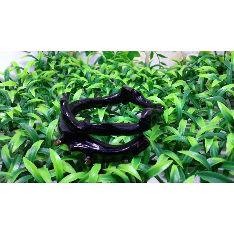 

akar Bahar hitam