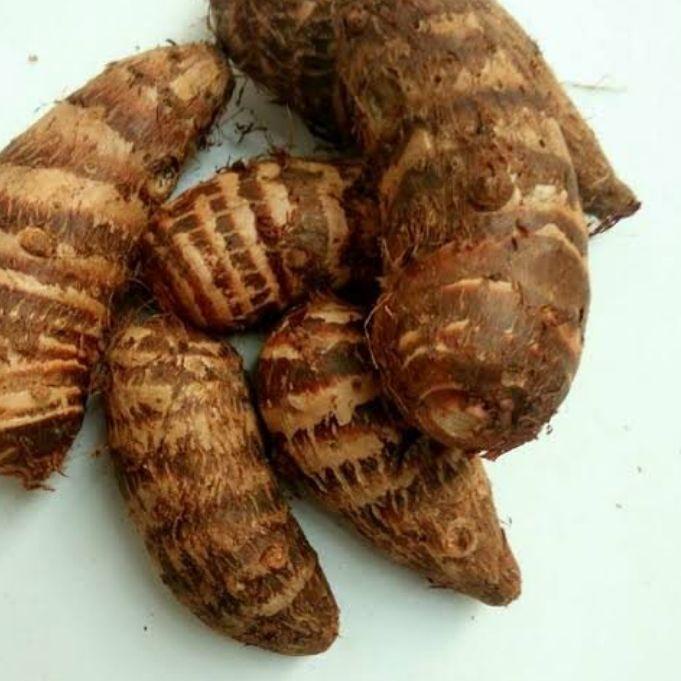 

✅HAPPY SHOPPING❤umbi tales atau taro talas umbi, uwi legi, polopendem, makanan sehat