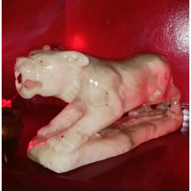 Patung macan putih berkualitas asli tulungagung