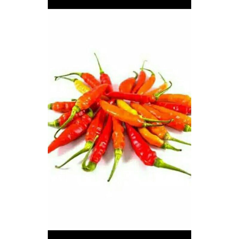 

100 gram Cabe Rawit selera pedas sayuran online bumbu dapur