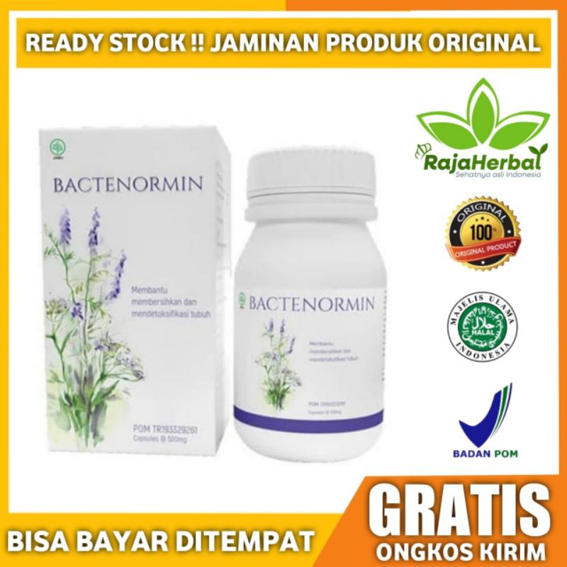 Bactenormin Asli Obat Parasit Tubuh Original BPOM Anti Cacing