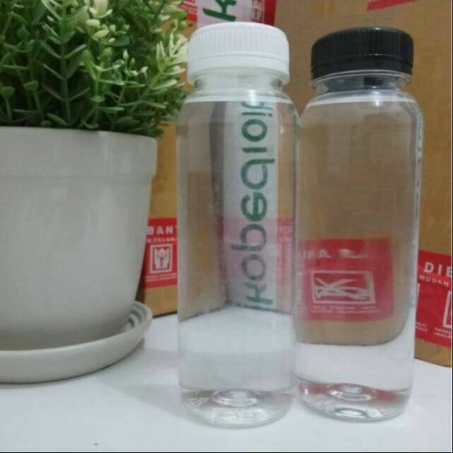 Botol Kale 250