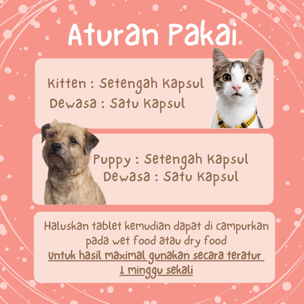 Suplemen Kalsium Hewan Peliharaan, Suplemen Kucing, Suplemen Anjing | Joy Cat House