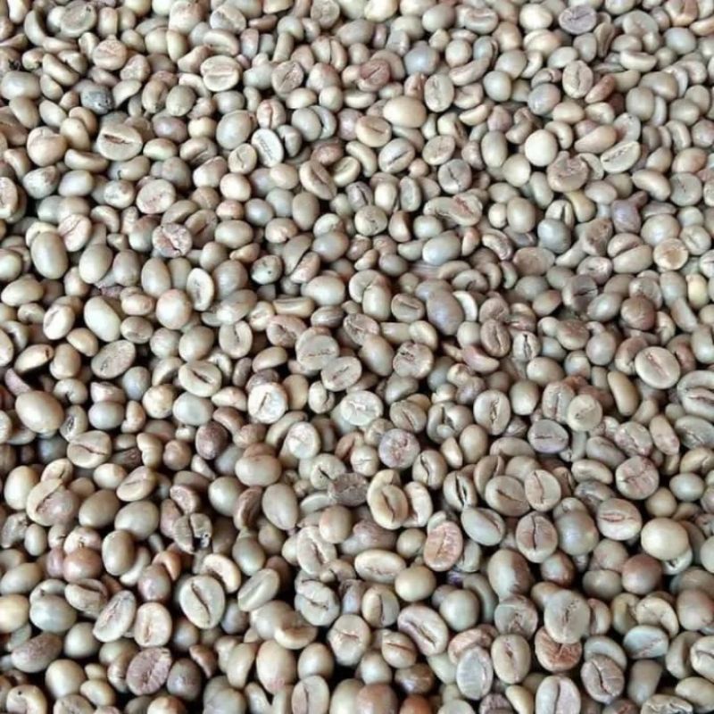 

Green bean robusta /robusta Dampit / robusta asli Semeru 1KG