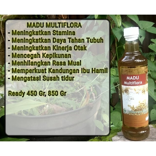 

MADU HUTAN MULTIFLORA 450gram - Madu Kota Batu - Obat mengobati Demam