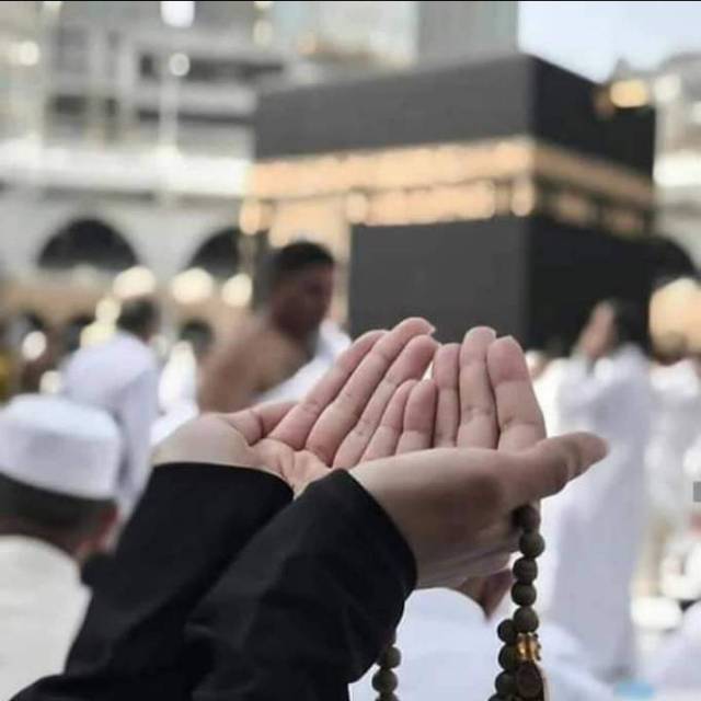 linda.aqfa