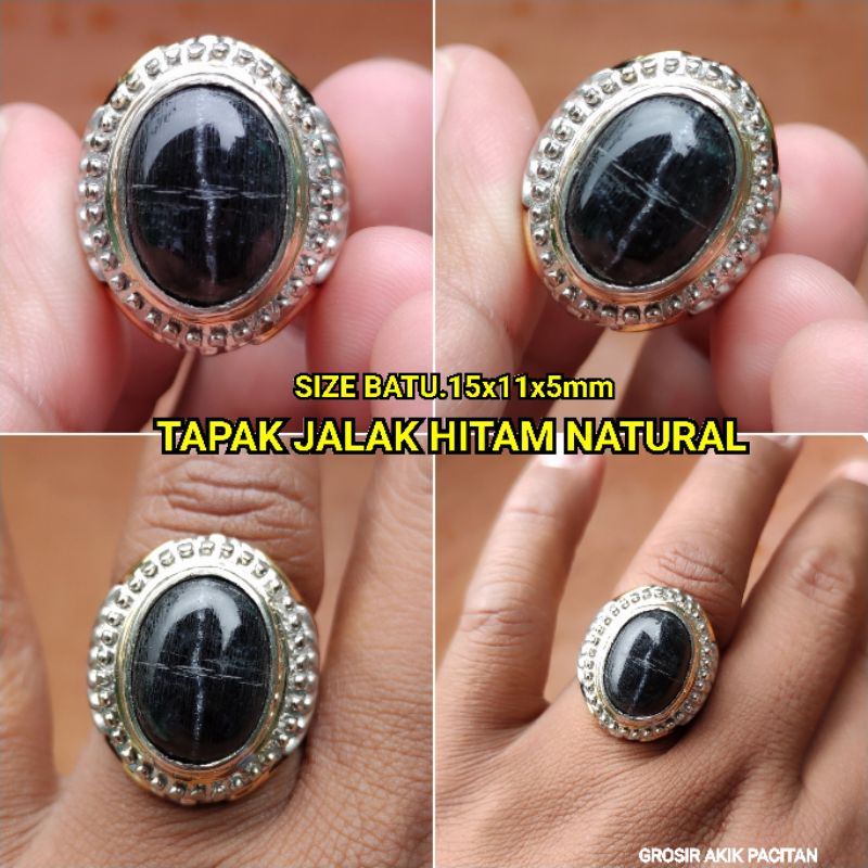 TAPAK JALAK HITAM NATURAL ASLI