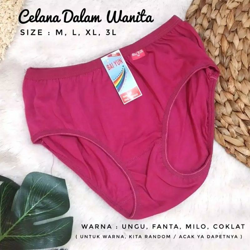 CELANA DALAM WANITA LUSINAN / CELANA DALAM WANITA LUSINAN MURAH / PAKET HEMAT 1 LUSIN CD WANITA BAIYUN-2