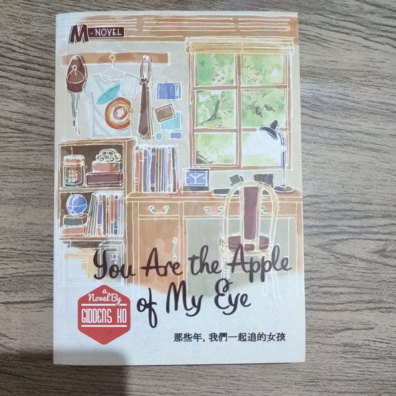 Koleksi pribadi novel you are the apple of my eye