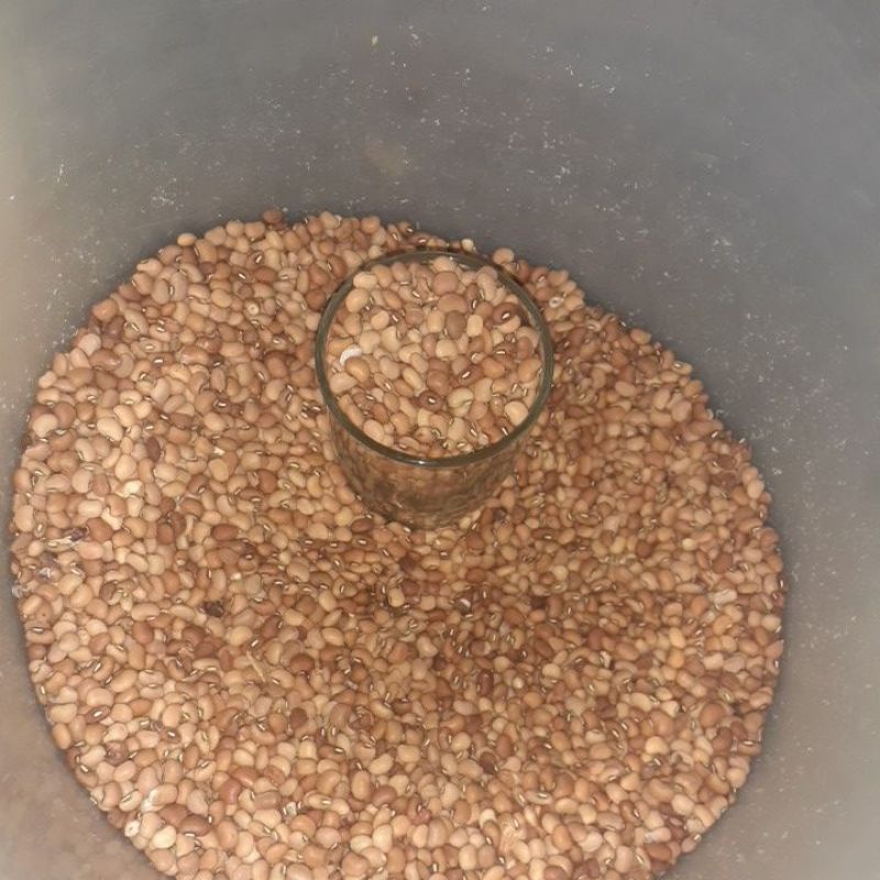 

kacang tolo/ kacang tunggak super murah