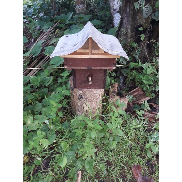 STUP TRIGONA ITAMA (sudah siap panen) KOTAK STUP DAN TOPPING DARI KAYU ULIN