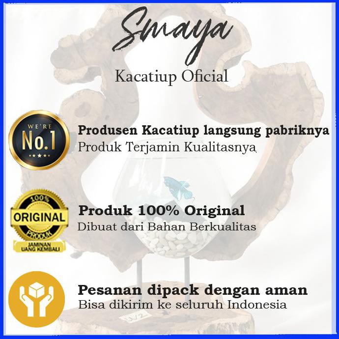 Terbaru Aquarium Cupang | Aquarium Bulat Ikan Hias | Akuarium | Aquascape | Aquarium Kaca | Aquarium