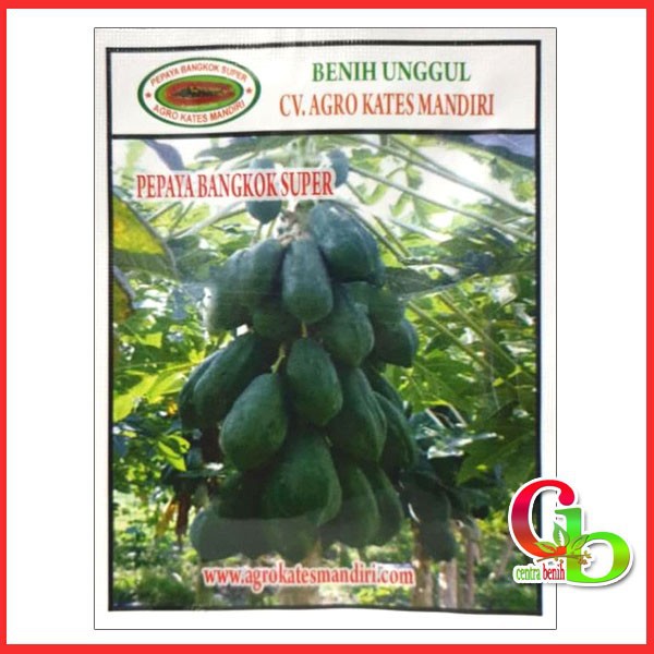 Isi ±50 Biji - Bibit Pepaya Bangkok Super 1GR - Benih Pepaya BANGKOK