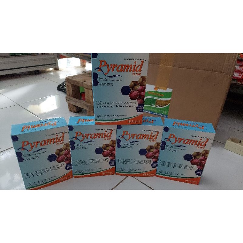 fungisida majemuk pyramid 72wp.