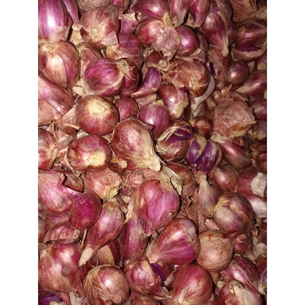 

BAWANG MERAH BREBES SUPER 1KG/BAWANG MERAH LOKAL