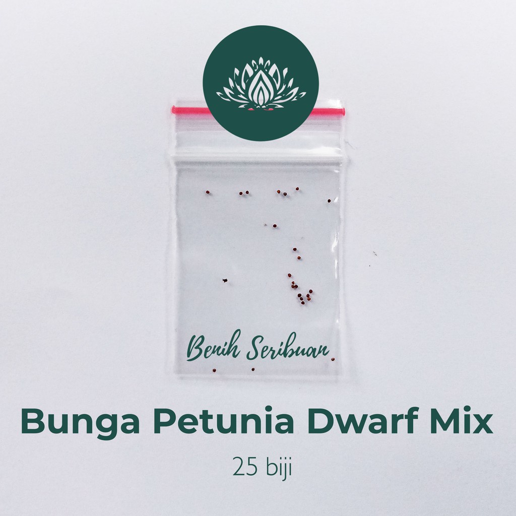 25 Benih Petunia F1 Dwarf Mix Bibit Tanaman Bunga Petunia Import Warna Warni Unggul Berkualitas