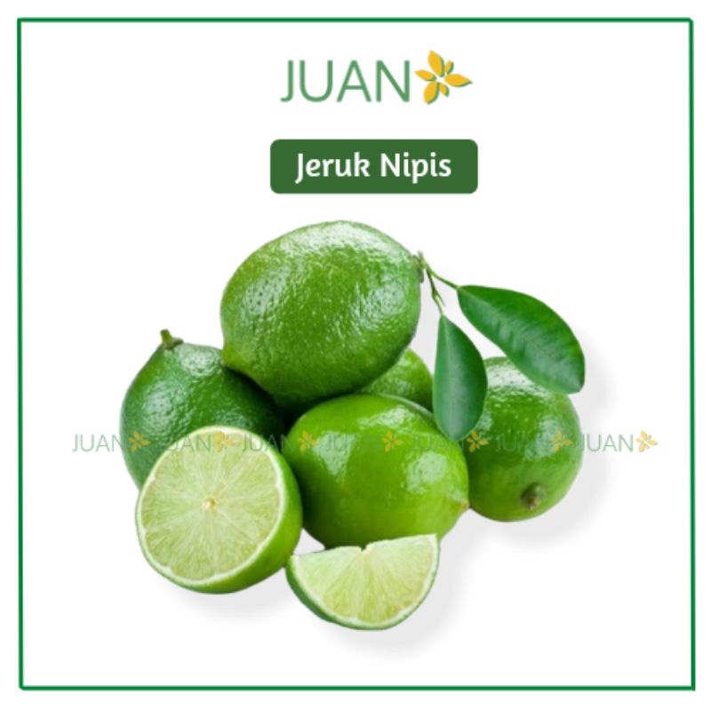 

Jeruk Nipis 250gr - Juan Freshmart