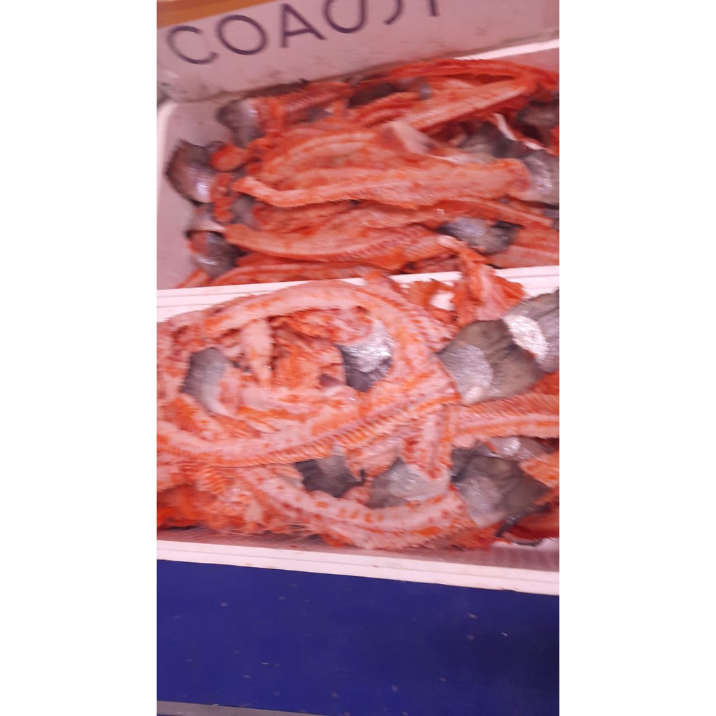 Salmon Scrape / ikan Salmon trout norway Fresh Kerokan /TETELAN SALMON