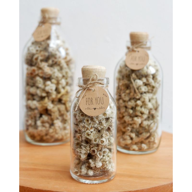 Jual dried flower in bottle dried flower in jar dried flower
