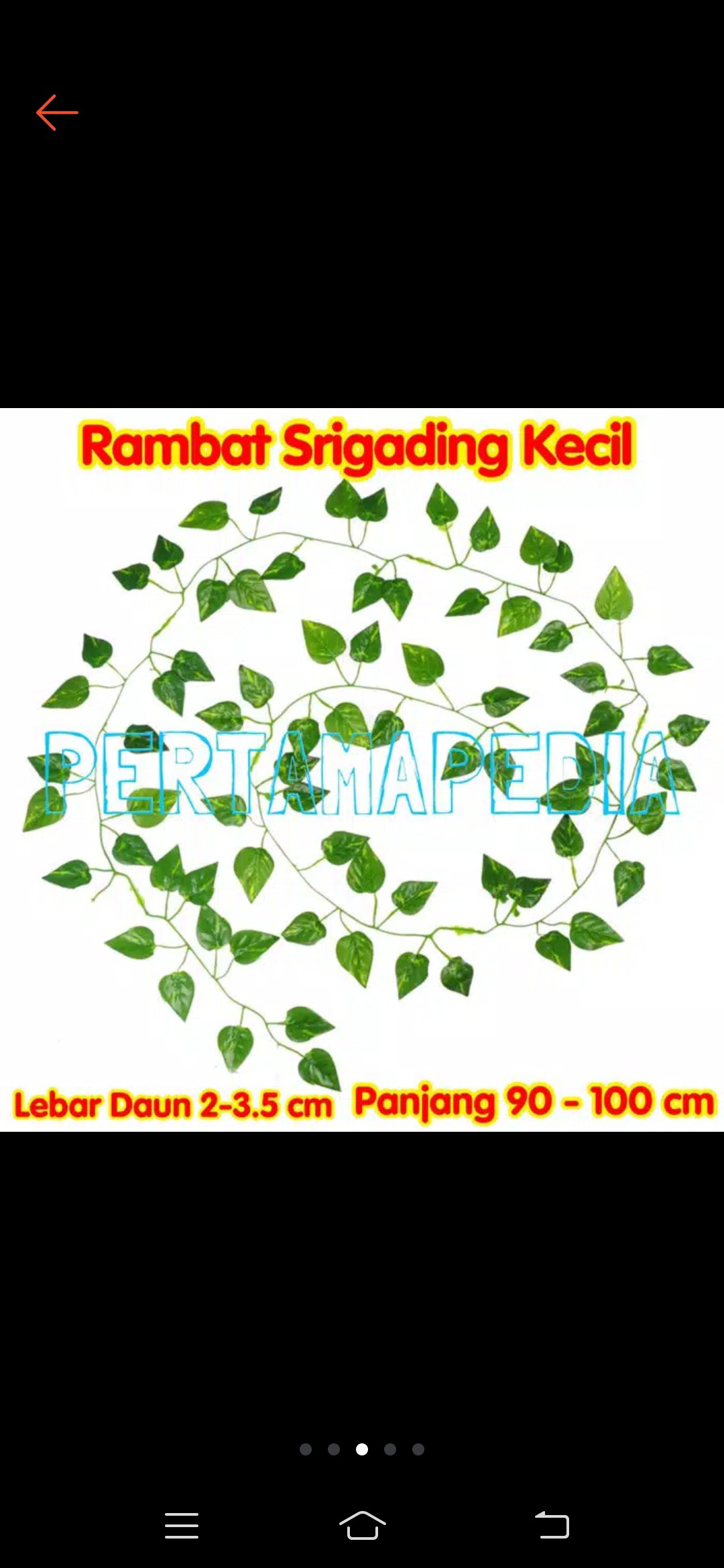 Daun Rambat Plastik/ Bunga Plastik