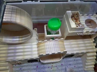Jual Rumah Hamster