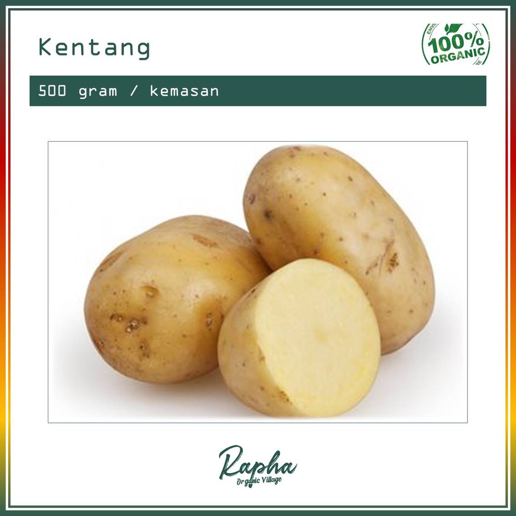 

Kentang Organik