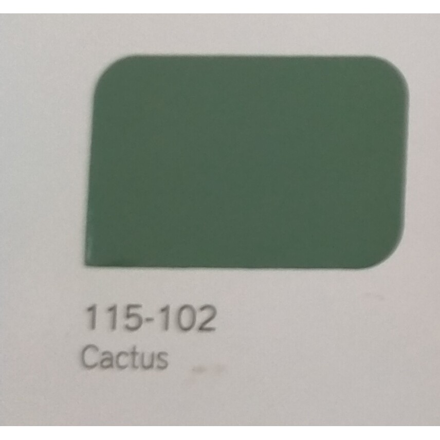 

CAT F TALIT cactus 102 1kg cat kayu dan besi