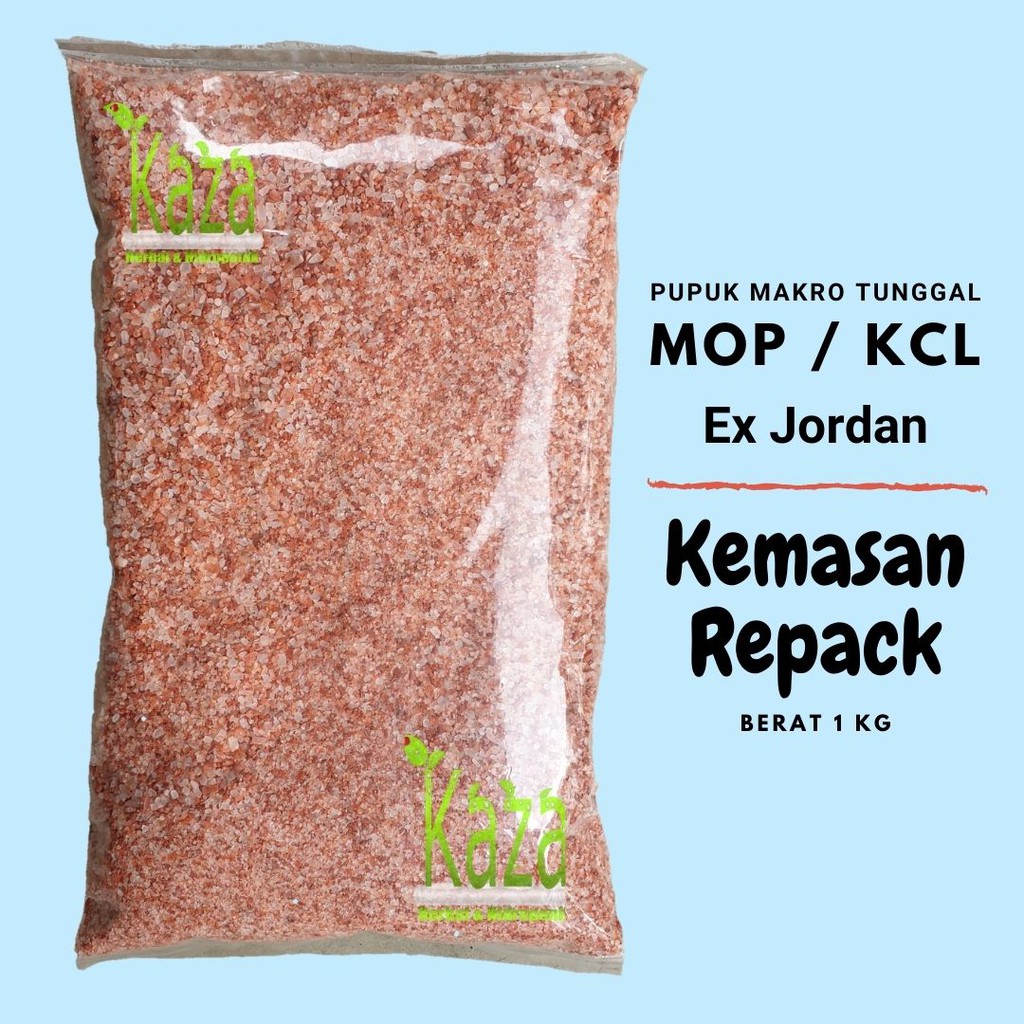 Pupuk MOP KCl Repack 500gr Muriate of Potash Sumber Kalium Makro