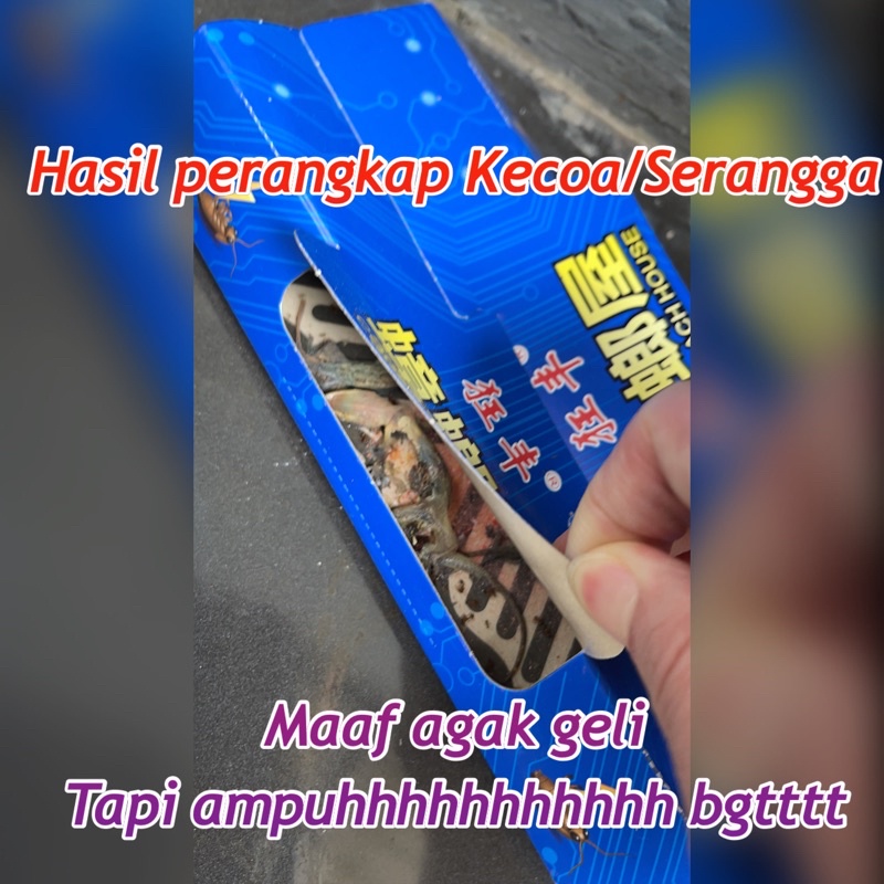 AZ 10Set Perangkap Serangga /Kecoa/Cicak/Semut - Jebakan Serangga Racun Obat Umpan Import