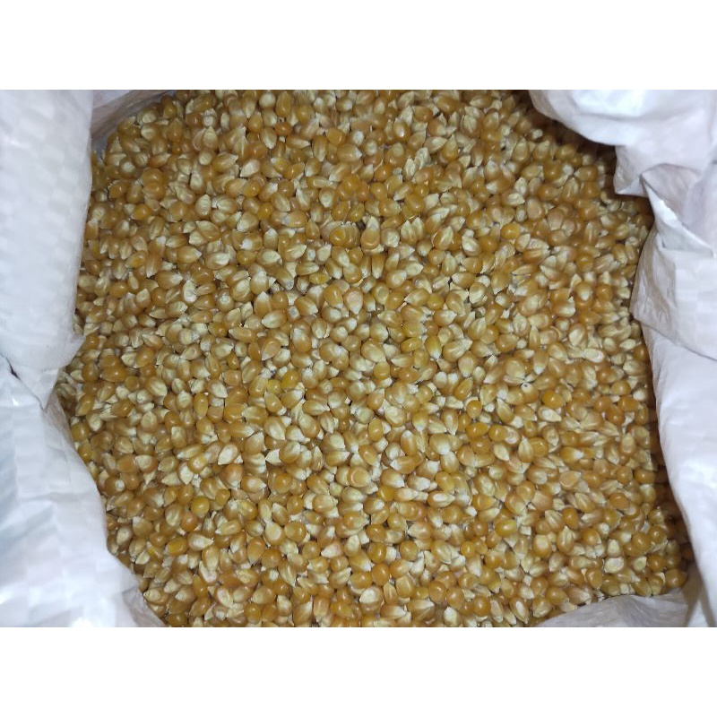 

jagung popcorn 250gr