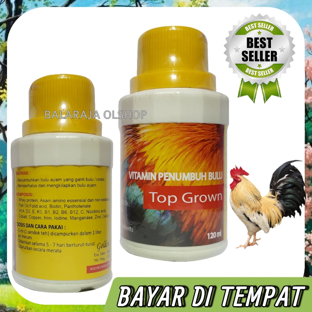 Vitamin Penumbuh Bulu Ayam Jago Bangkok Mabung Ganti Bulu Top Grown 120ML