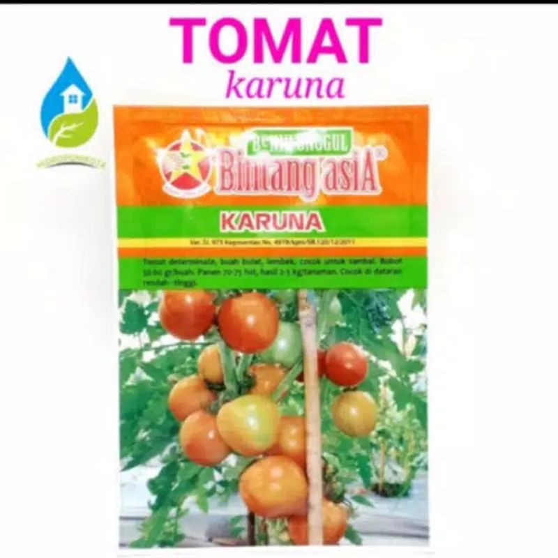 Benih tomat repack Bintang Asia