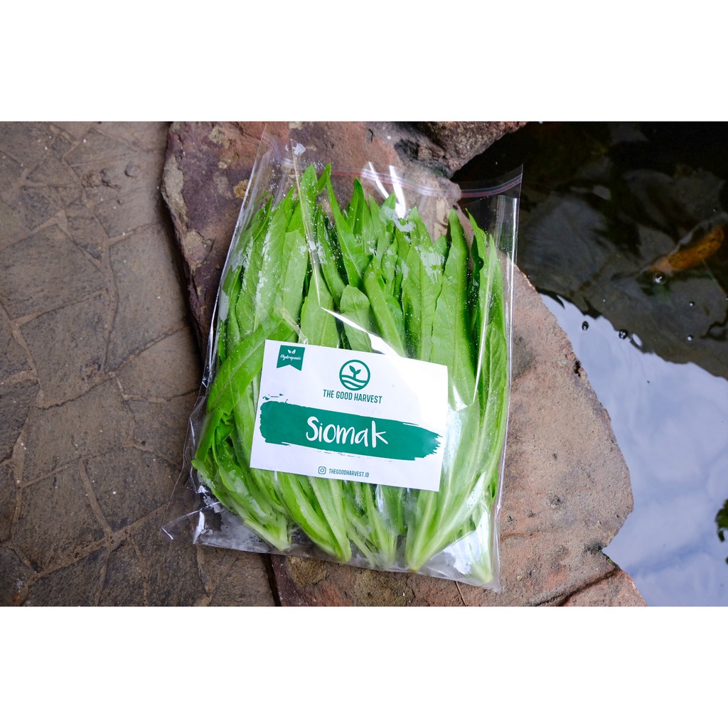Sayur Siomak Hidroponik - Siomak Vegetable Hydroponics 250G